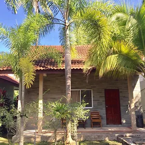 Coconut Nai Yang Beach